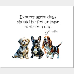 Experts agree dogs should be fed at least 10 times a day - funny watercolour doggie designs Posters and Art